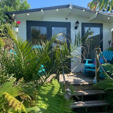 Apartament Stargazy Garden Hayle Zewnętrze zdjęcie