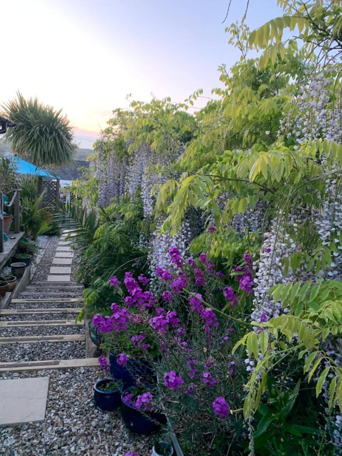 Apartament Stargazy Garden Hayle Zewnętrze zdjęcie